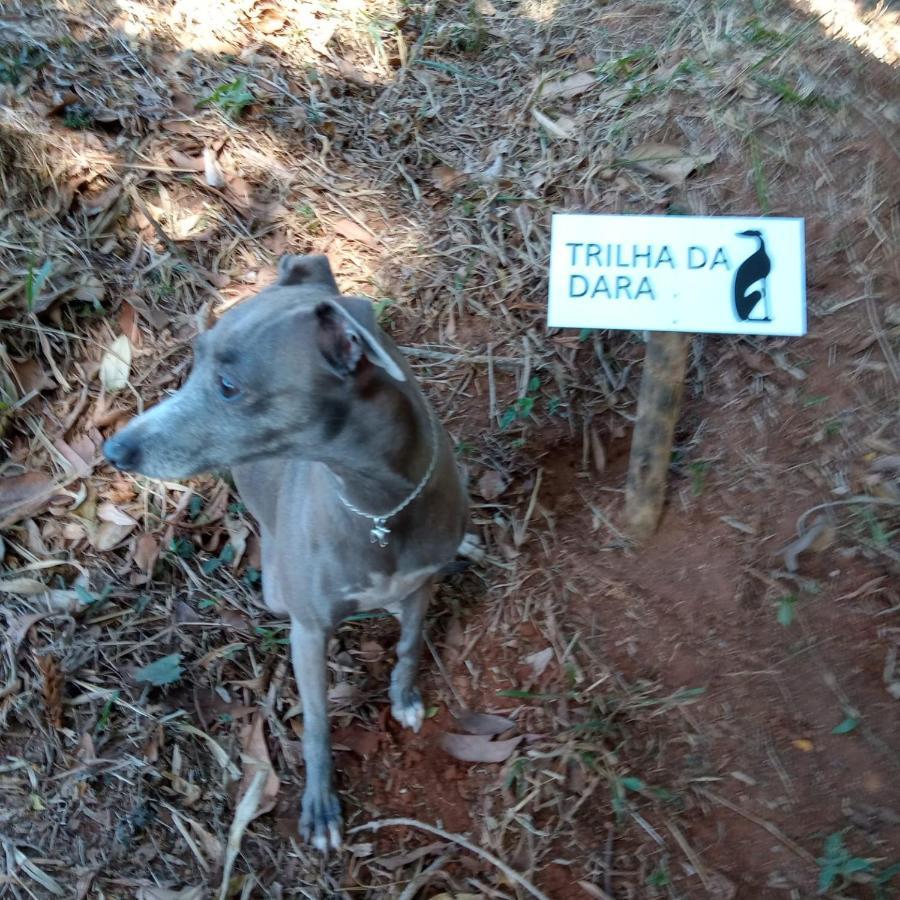 Casa Do Galgo Daire São Bento do Sapucaí Dış mekan fotoğraf